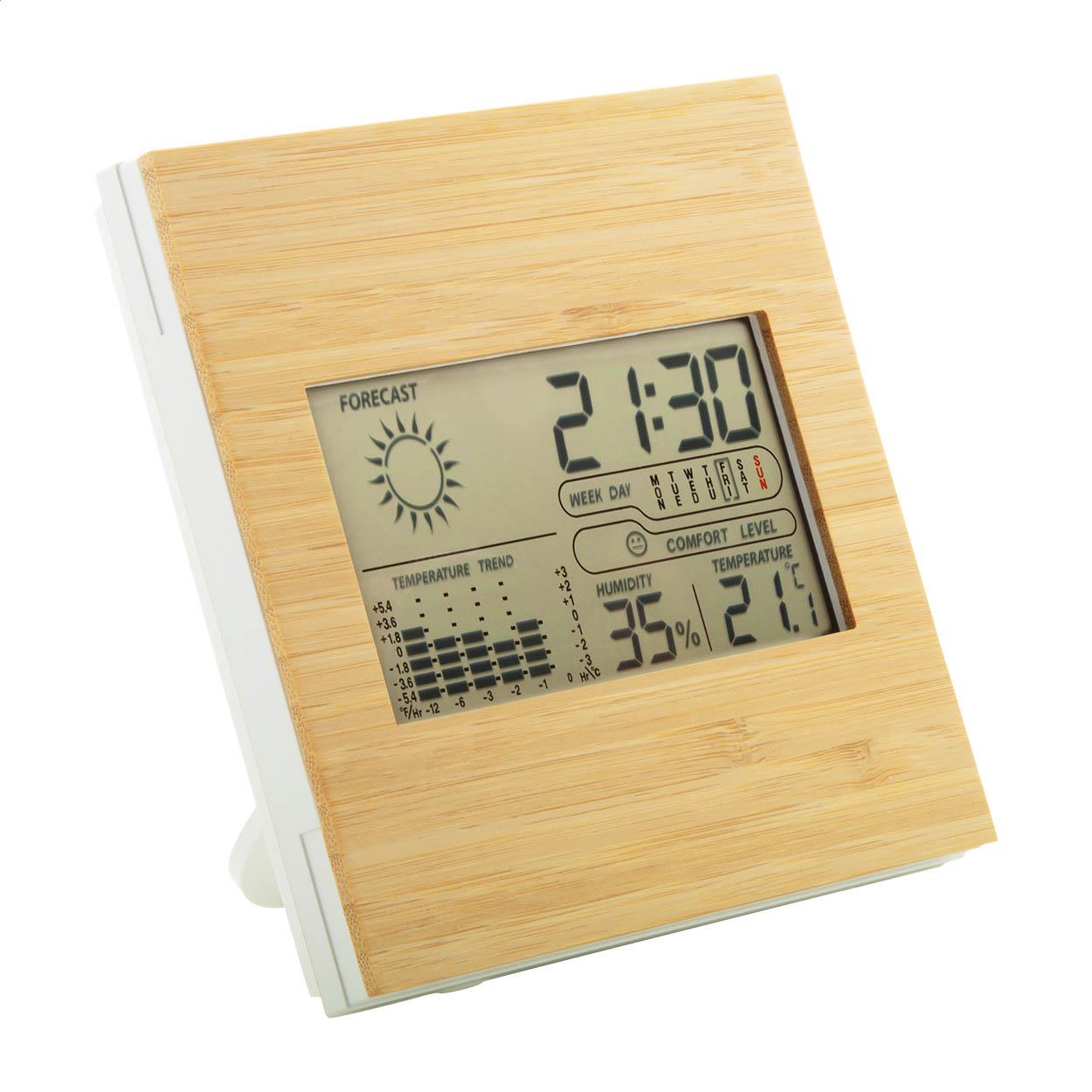 Wetterstation