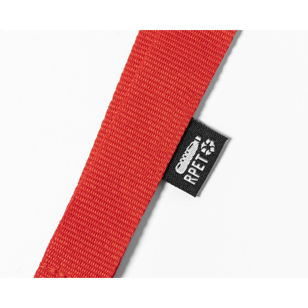 Lanyard