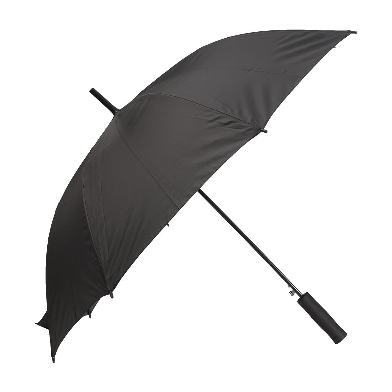 Regenschirm