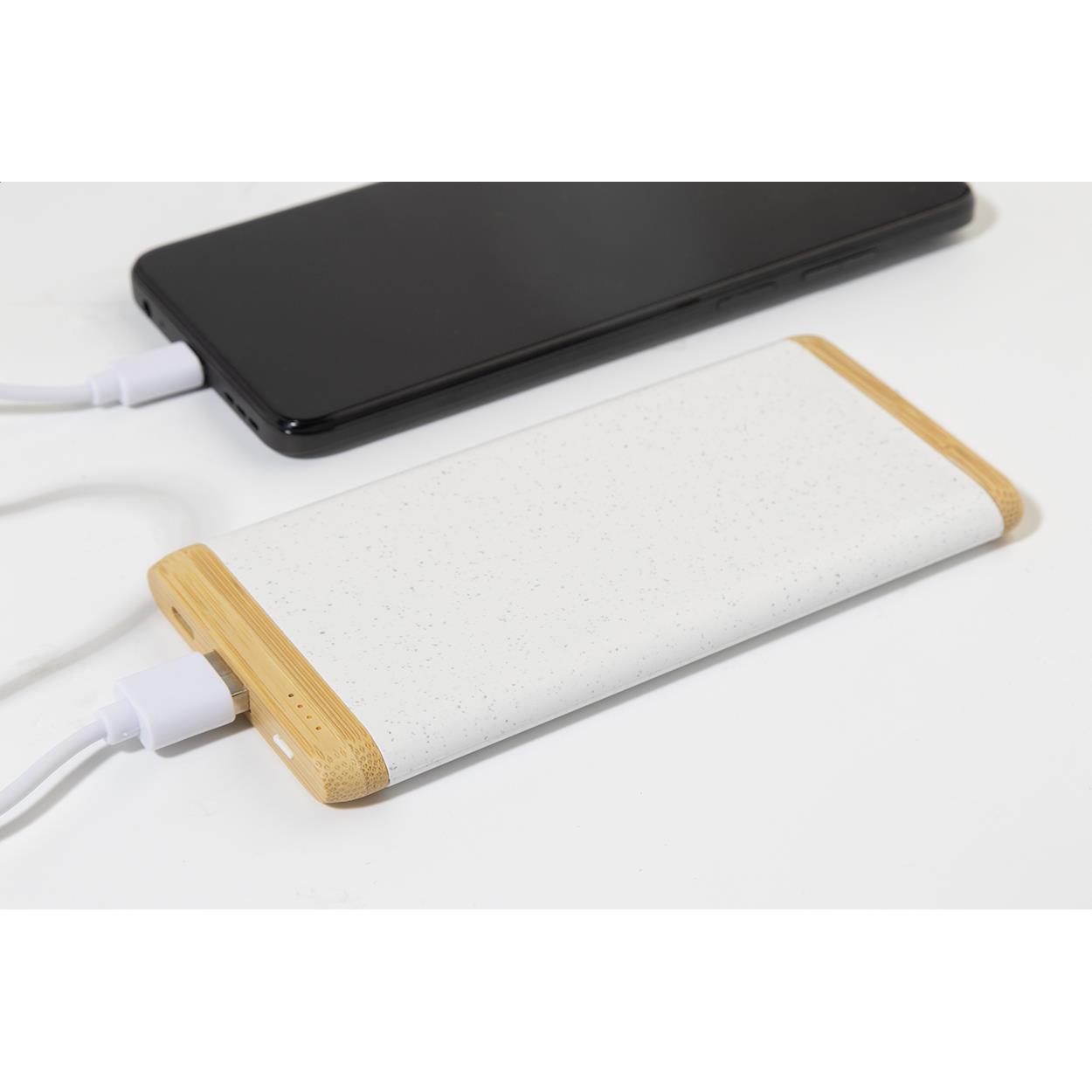 Powerbank