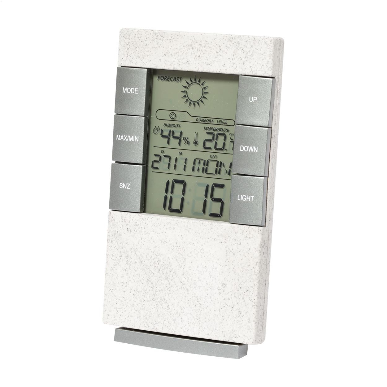 Wetterstation