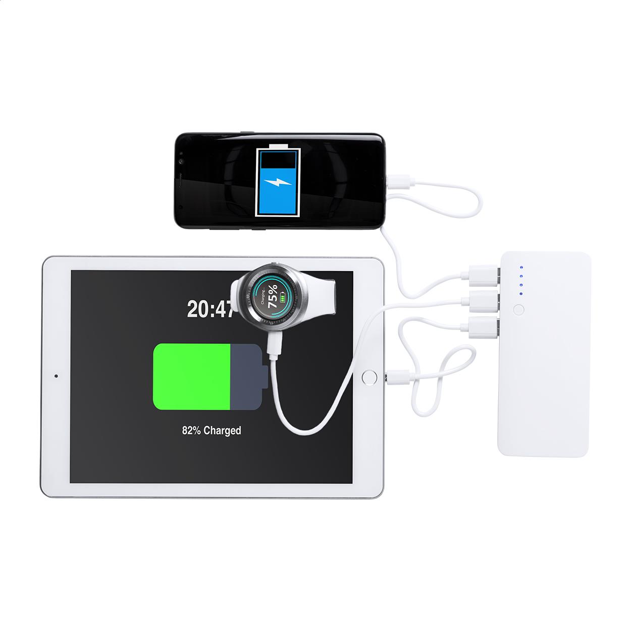 Powerbank