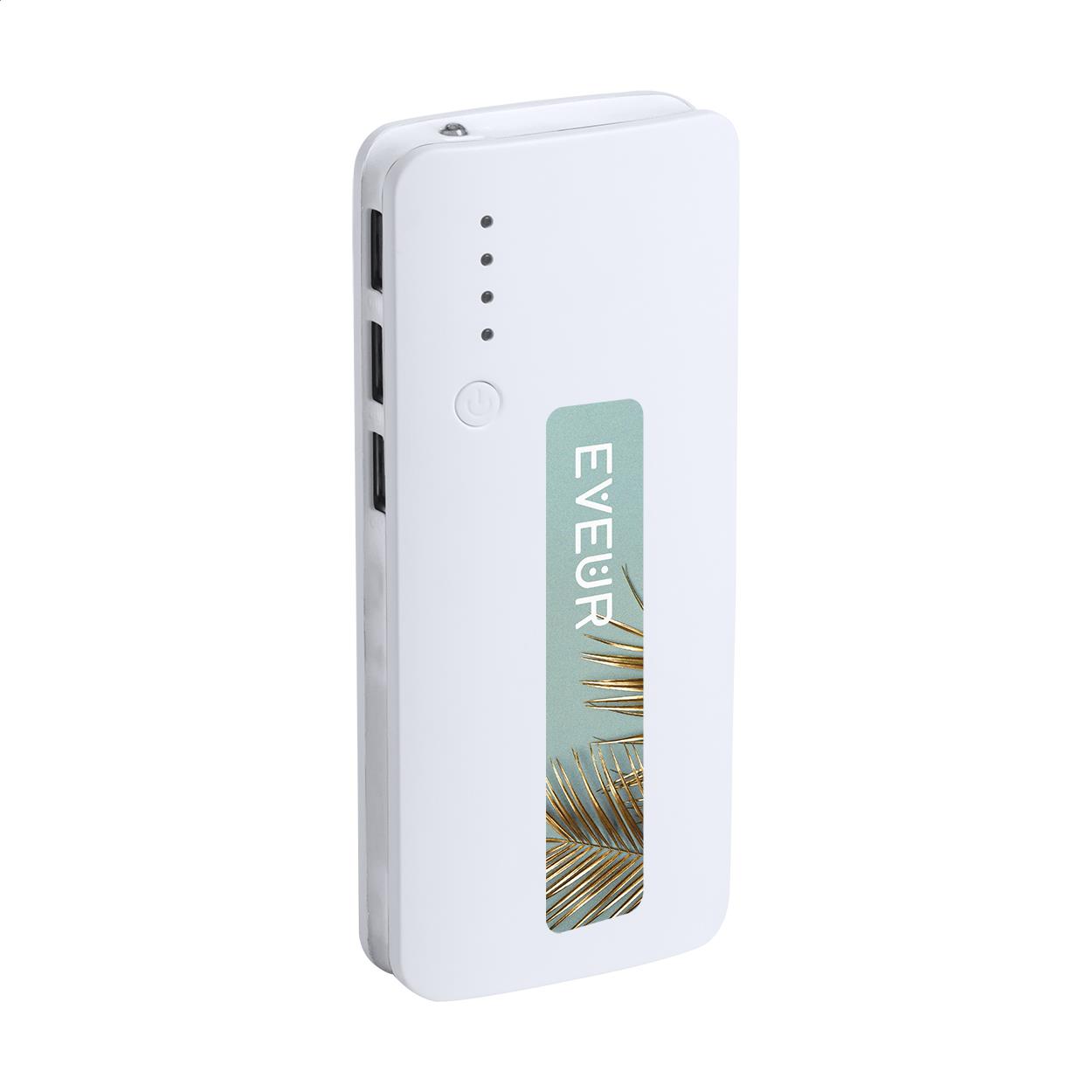 Powerbank
