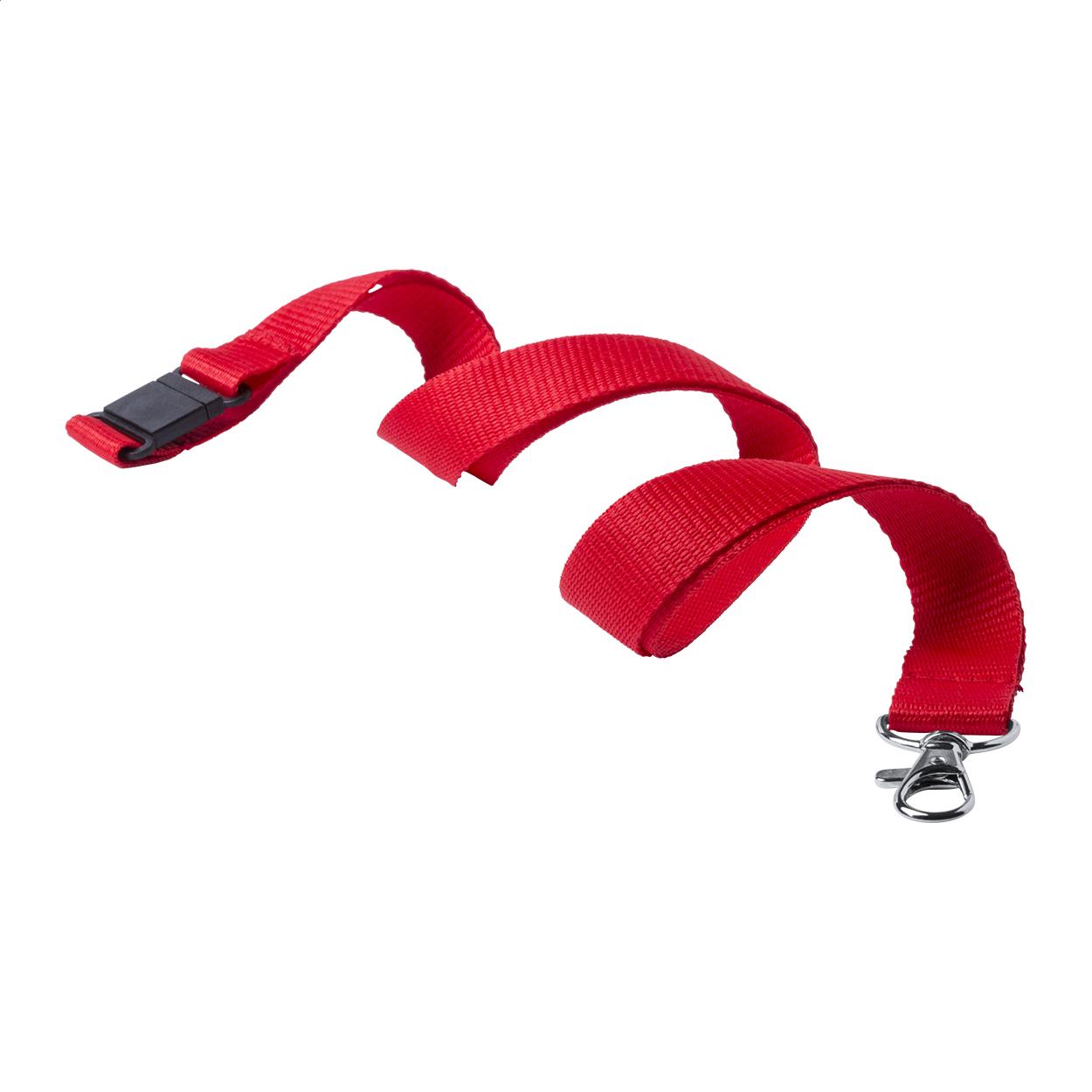 Lanyard