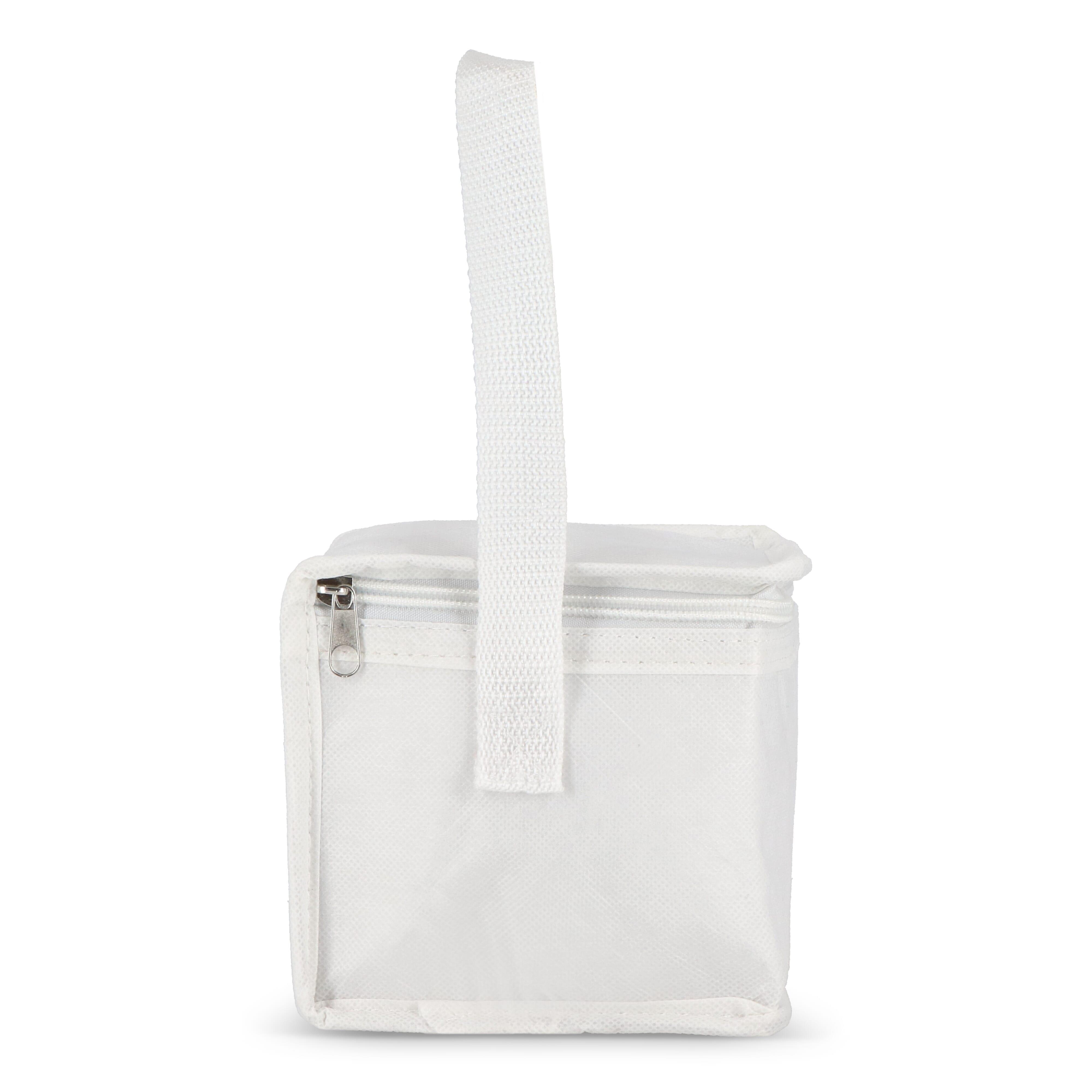 R-PET 6 Dosen-Kühltasche Non Woven 20x 13 x 12,5cm 75g/m²