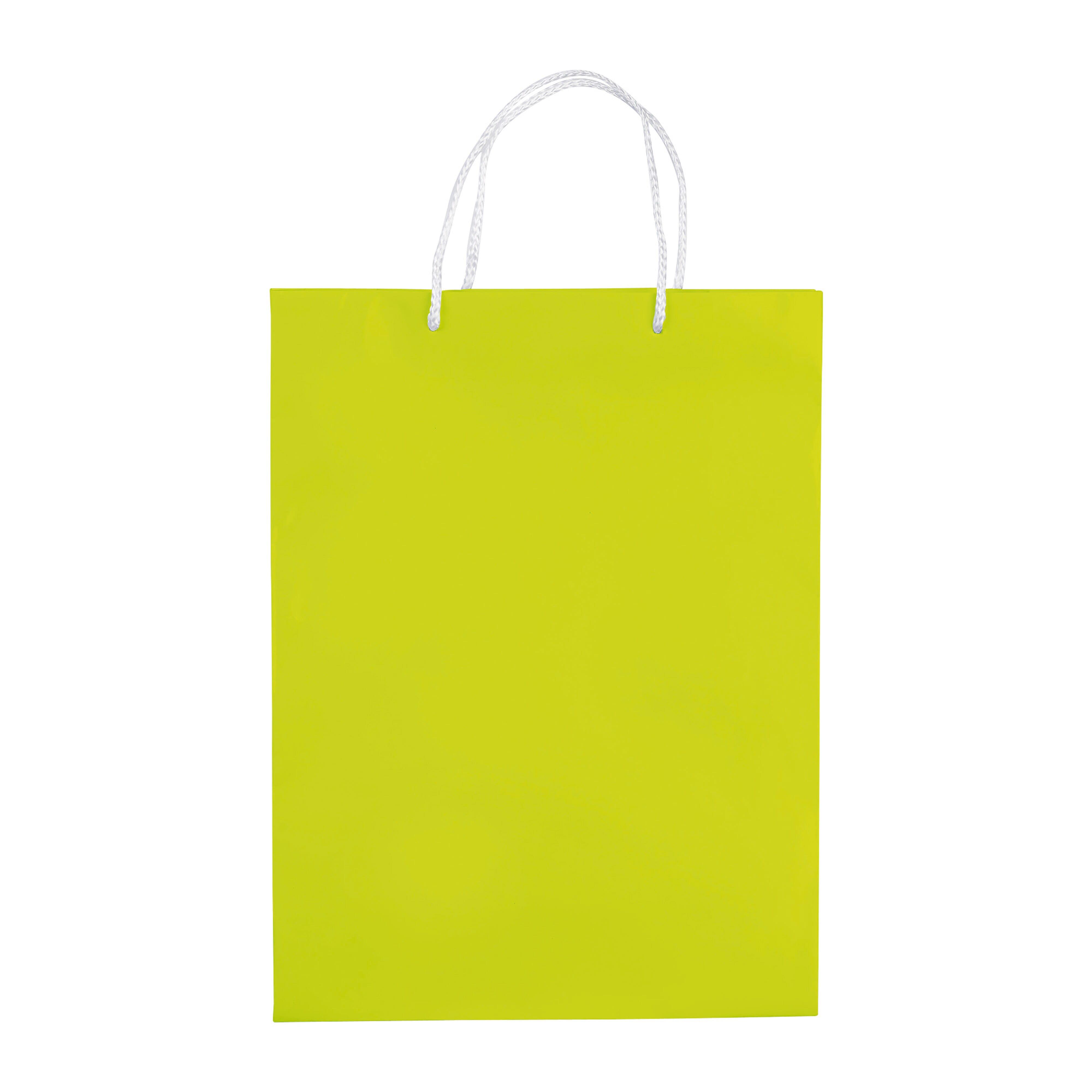 Laminierte Papiertasche, groß