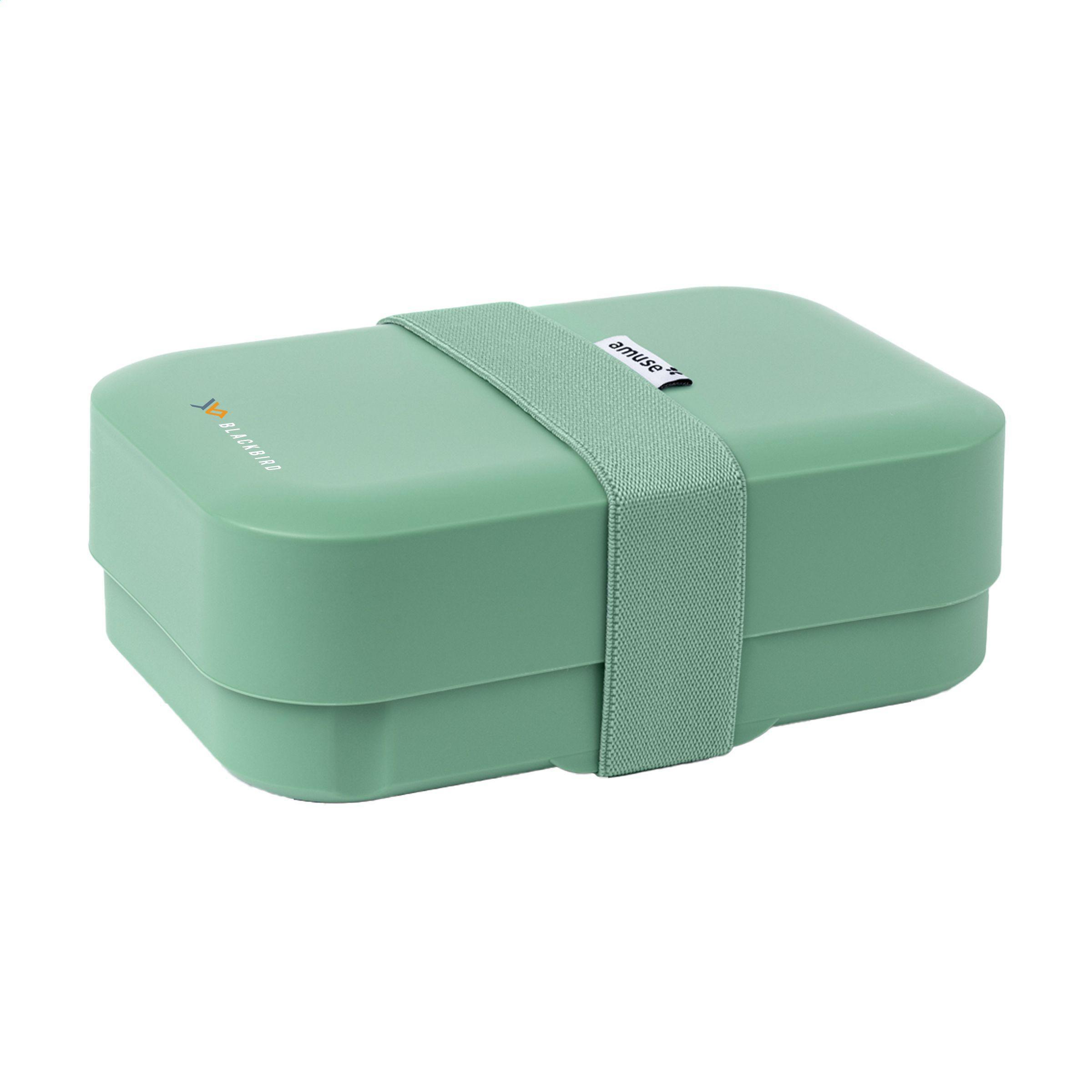 Amuse Classic Lunchbox Medium