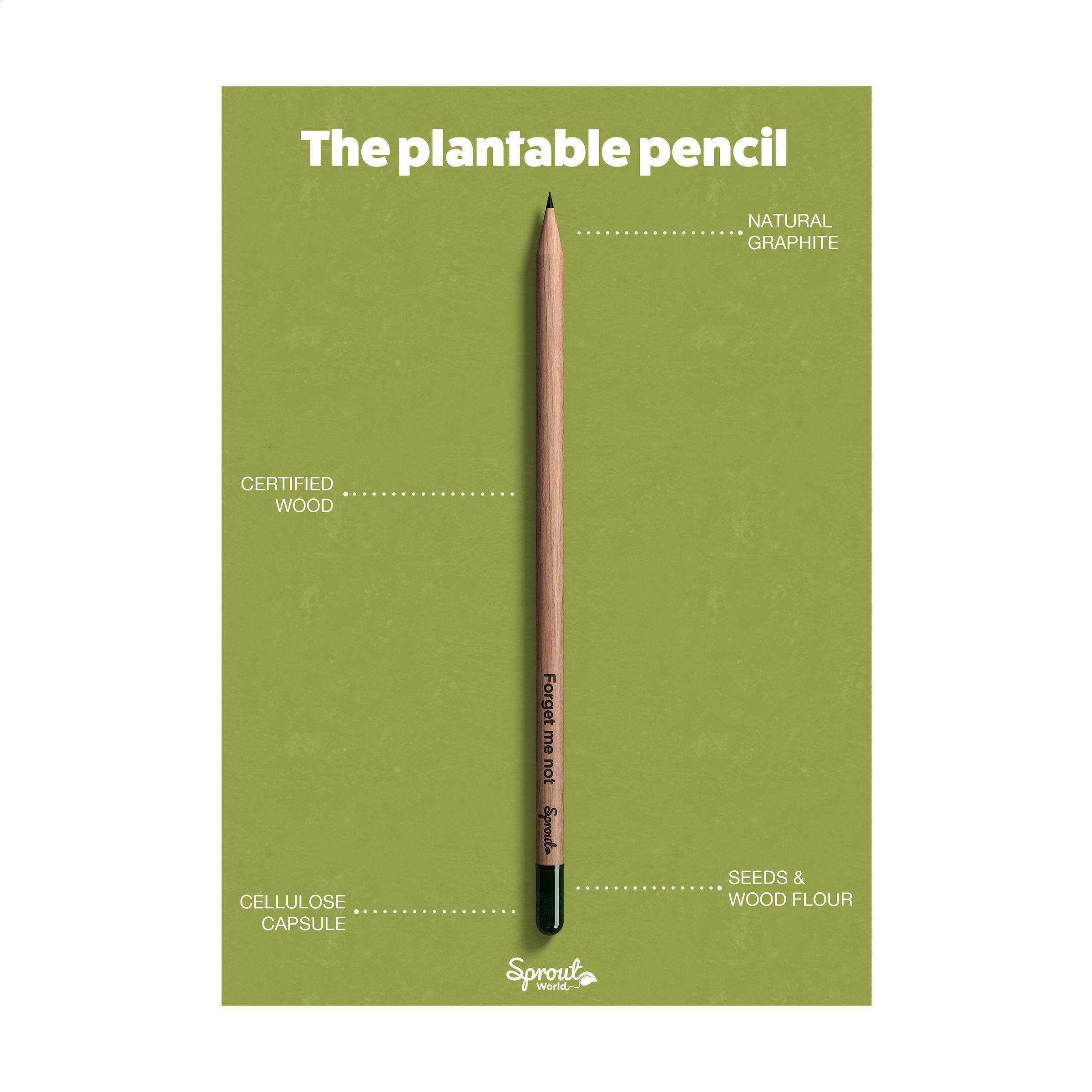 Sproutworld Unsharpened Pencil Bleisstift ungespitzt