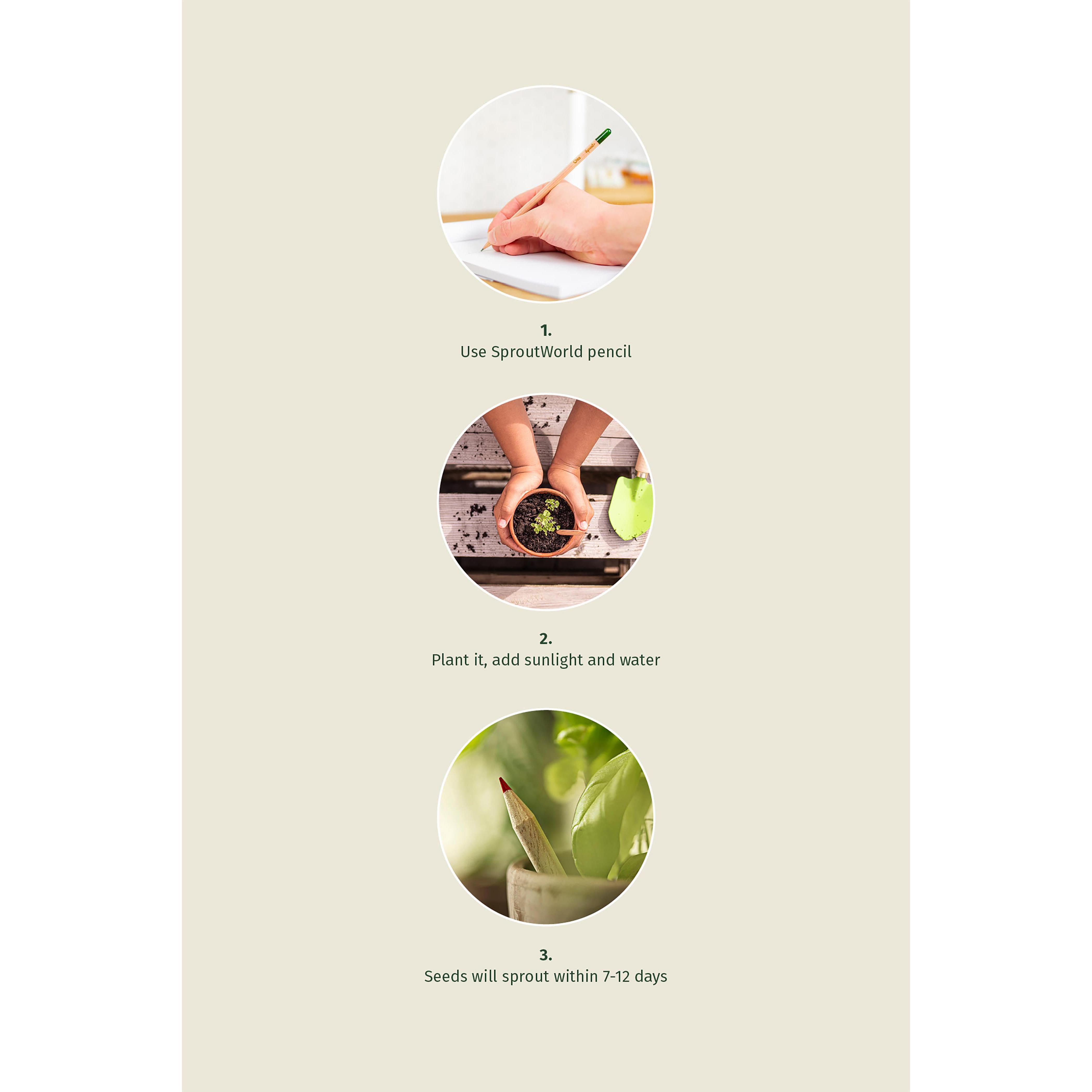 Sproutworld Set: Unsharpened Pencil & Header Card ungespitzter Bleistift