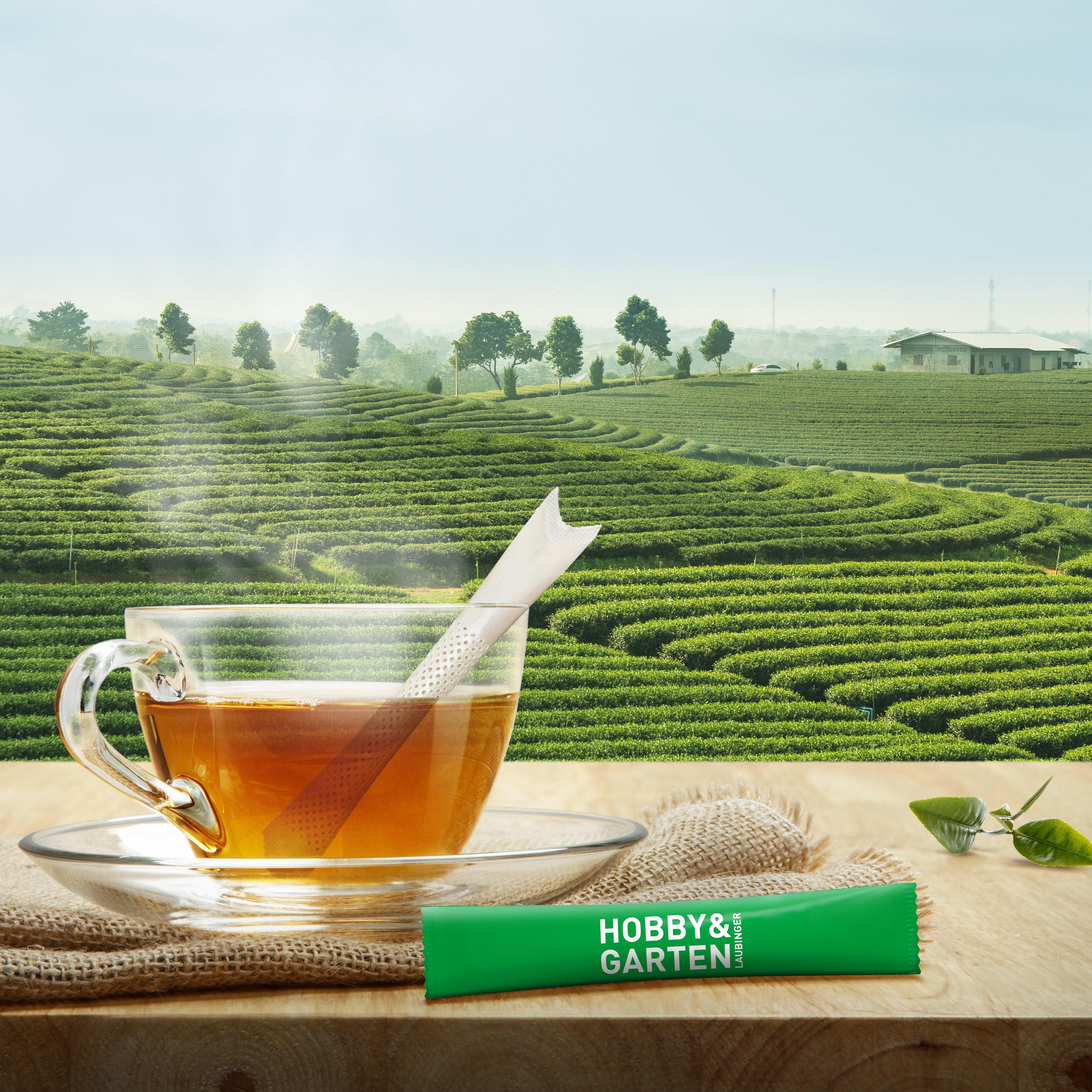 TeaFlyer XL inkl. 1 TeaStick ´Individual´