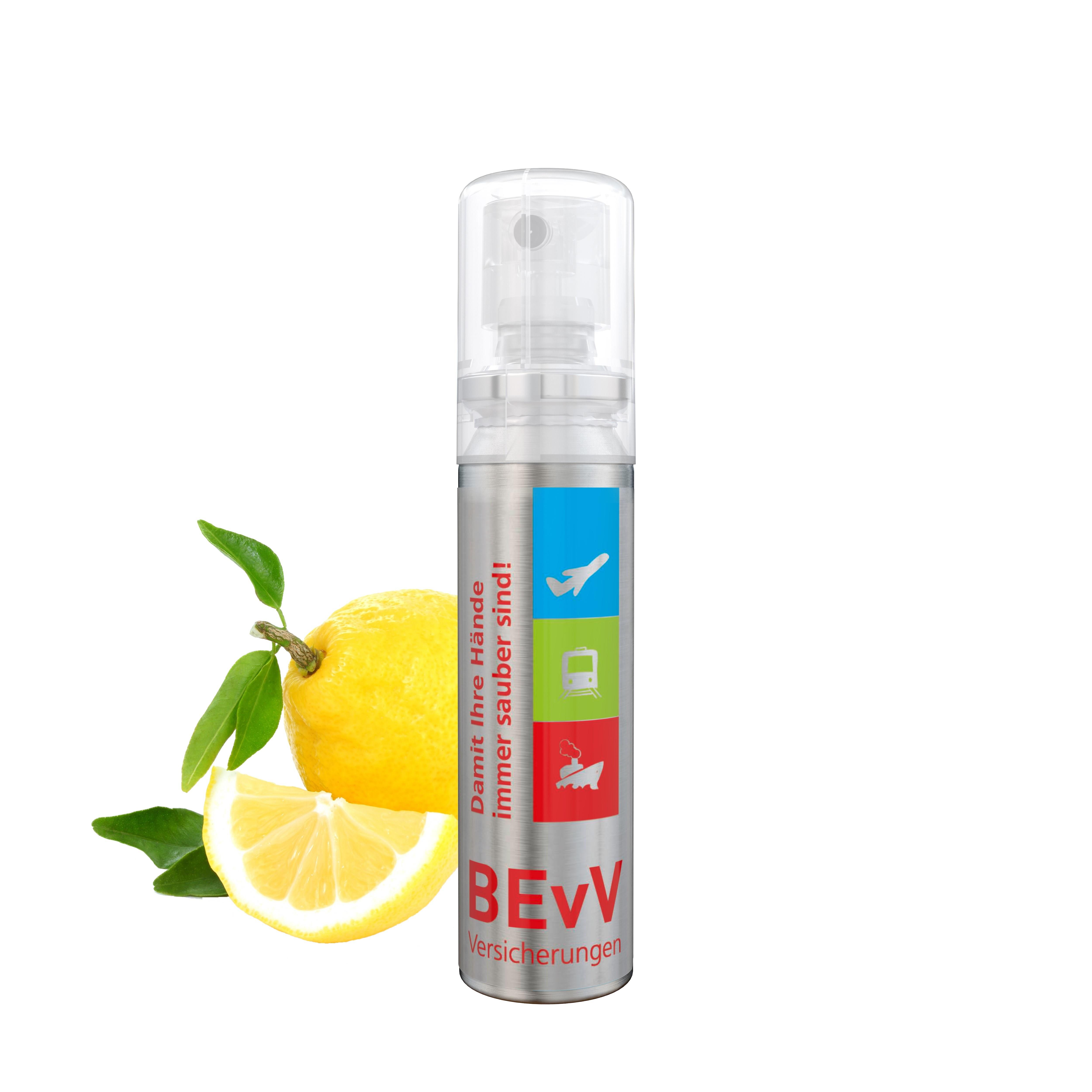20 ml Spray - Handreinigungsspray (alk.) - Body Label transparent