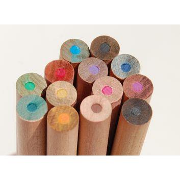 SPROUT - Farbstift mit Etui Standard