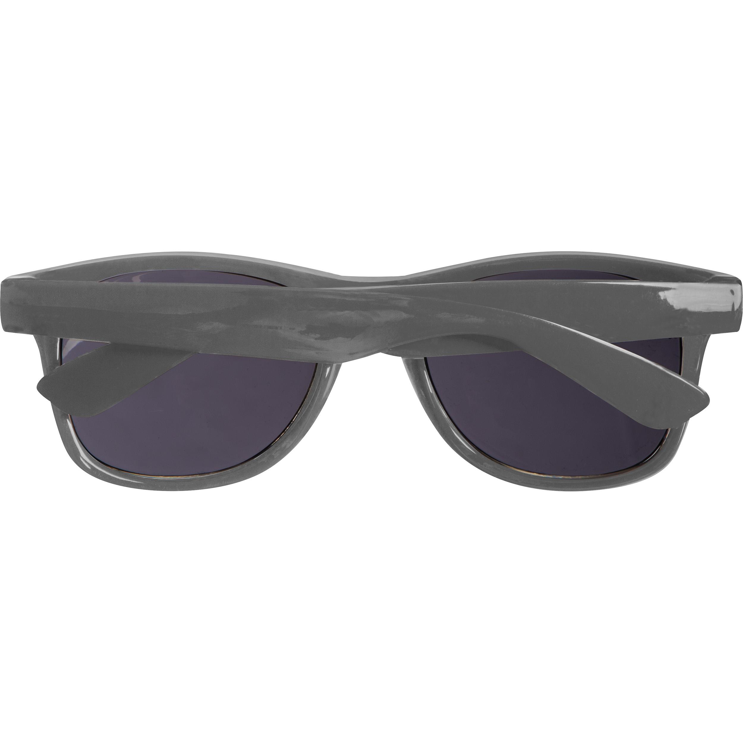 PET Sonnenbrille Illinois