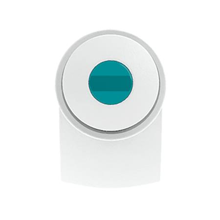 petrol