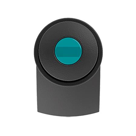 petrol
