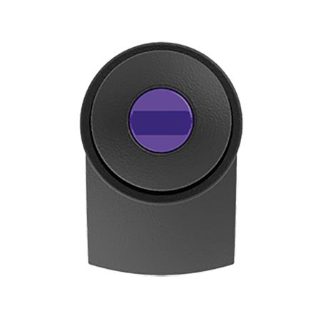 dunkel violett