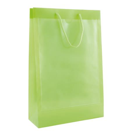 Tragetasche transparent mit 2 Fenstern A4