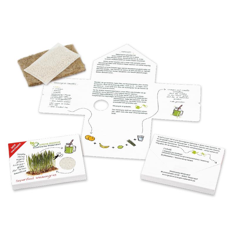 Superfood Weizengras - Samenset