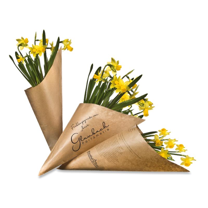 Wundertüte Narzisse - Pflanze in der Spitztüte