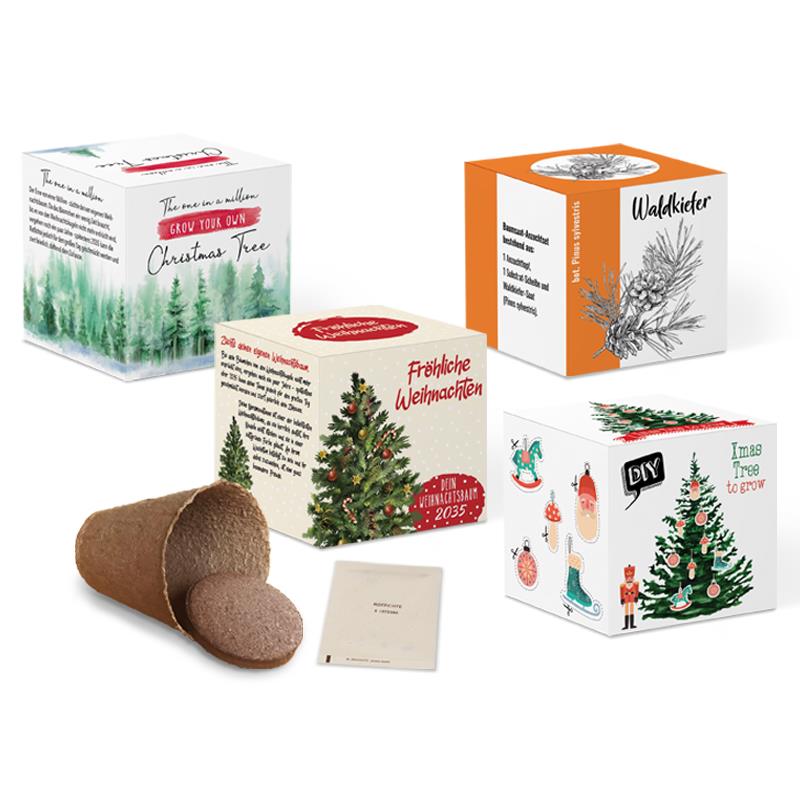 TREEme-Saatwürfel - Samenset