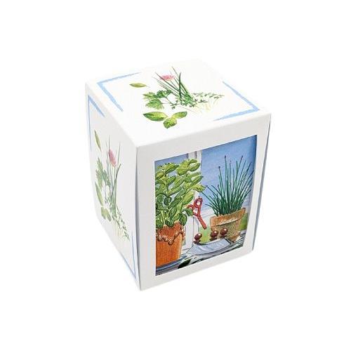Würfel Pflanzset Passepartout