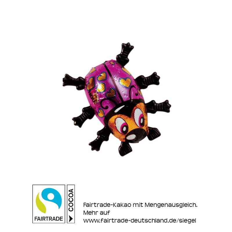 Bunter Nougatkäfer