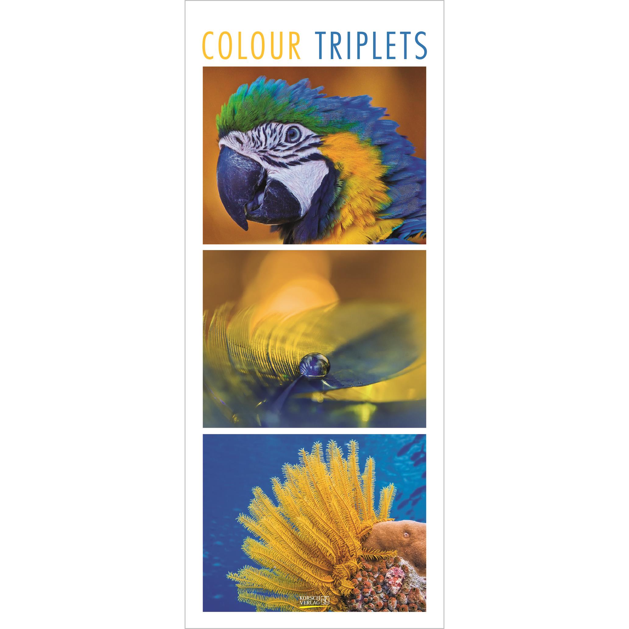 Colour Triplets